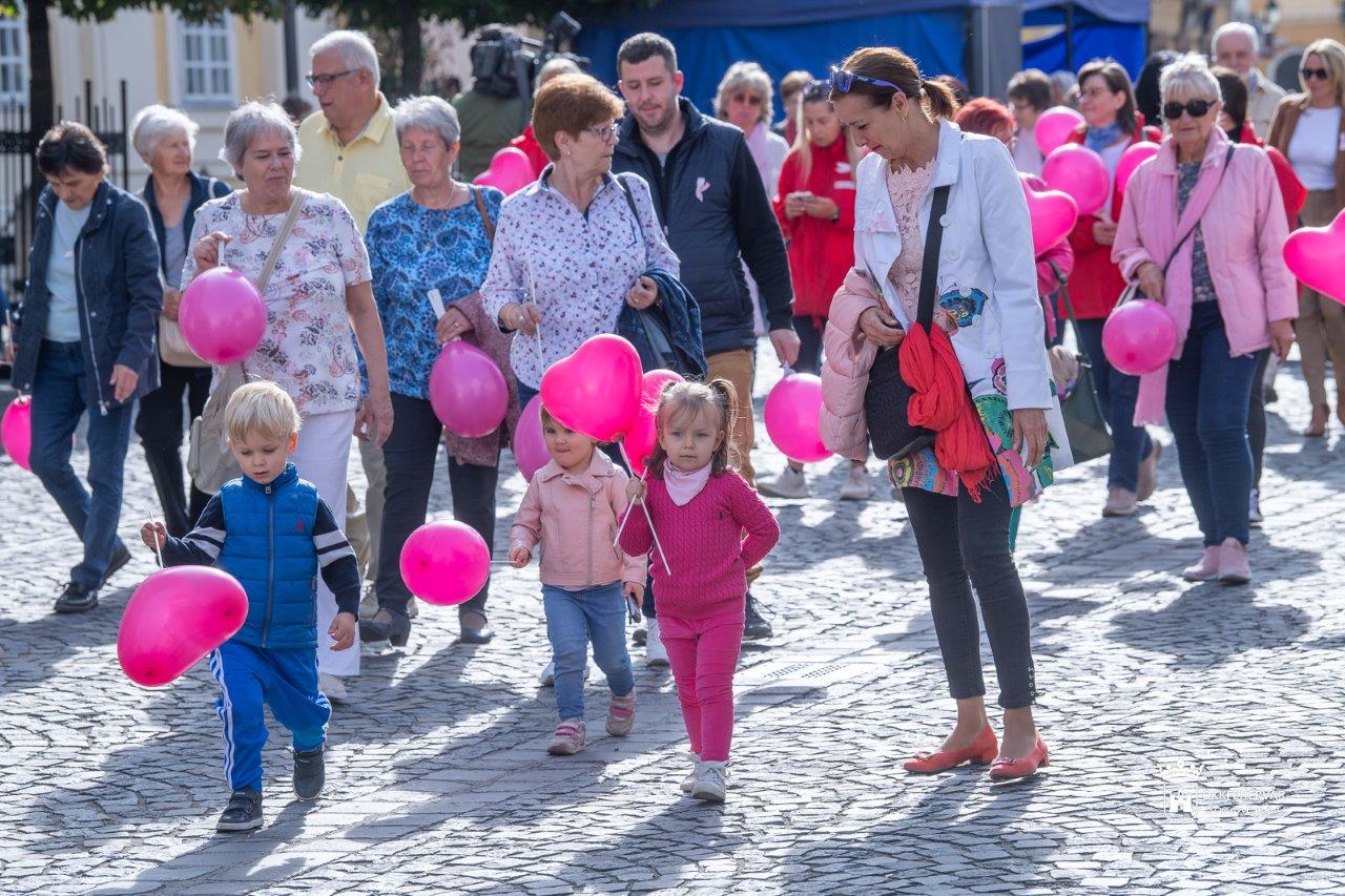 17. alkalommal rendezték meg a mellrák elleni sétát Fehérváron