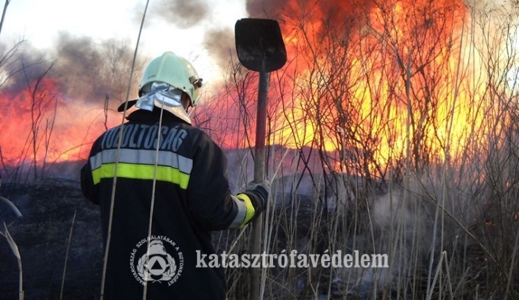 Emelkedik a szabadtéri tüzek száma - Fehérváron továbbra is tilos égetni