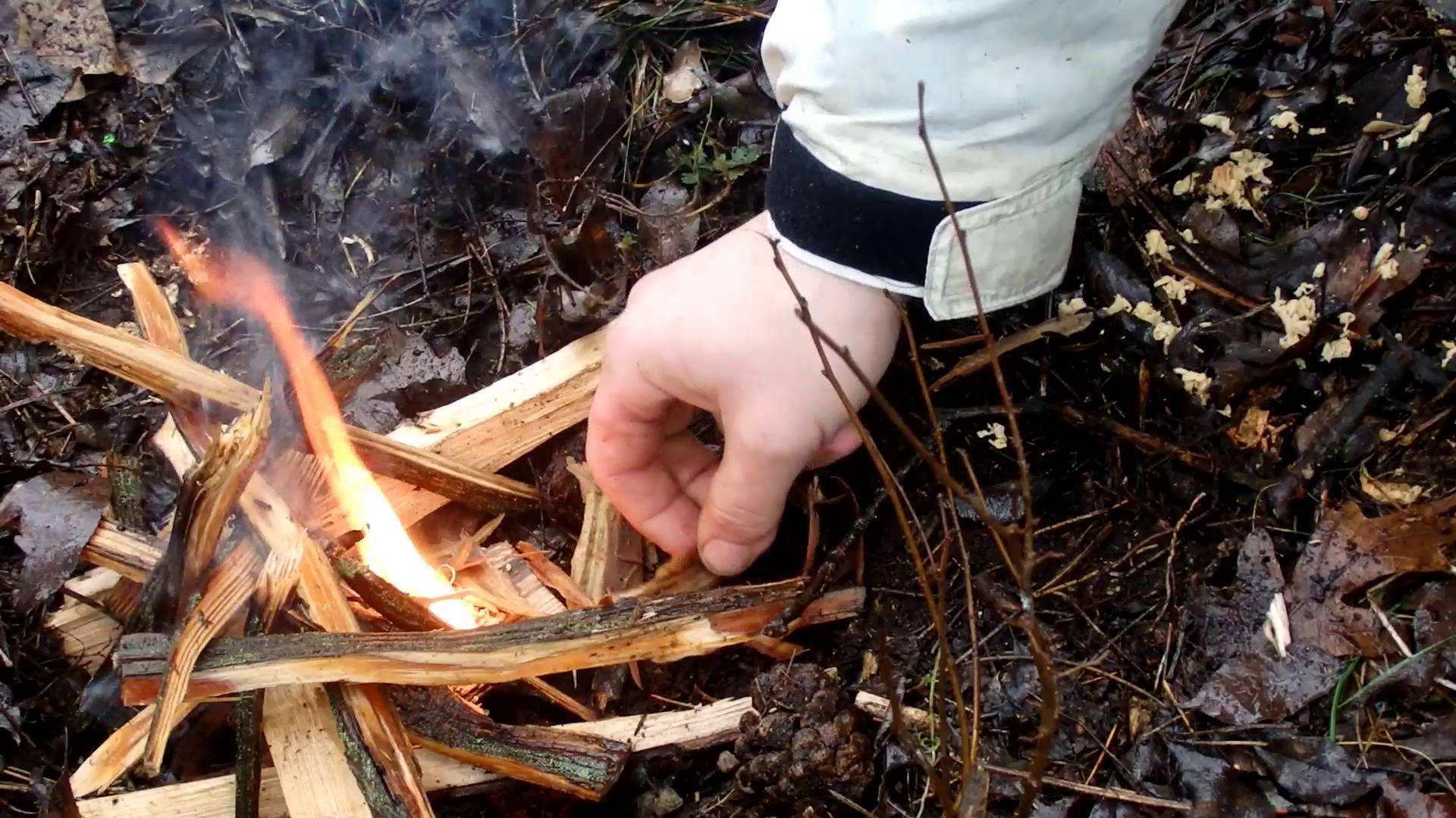 Március 3-tól tilos az erdőkben tüzet gyújtani