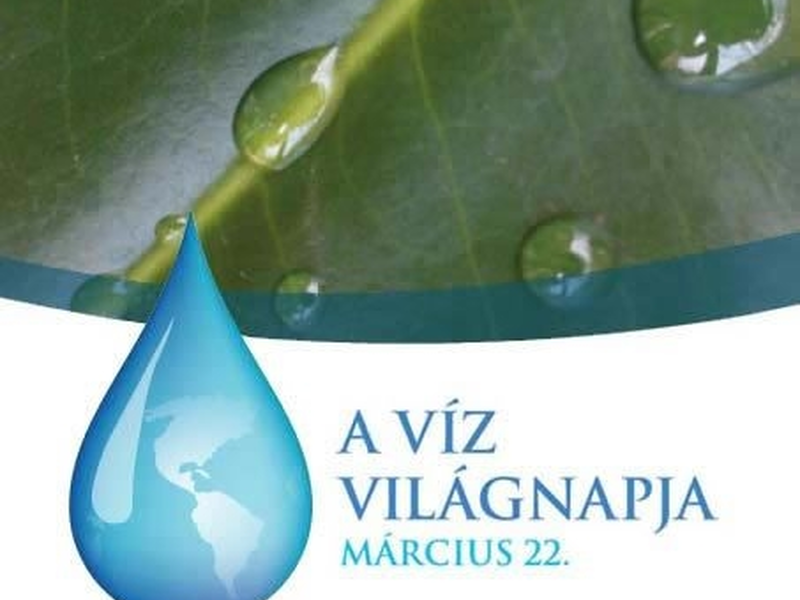 A Víz világnapját ünnepeljük március 22-én