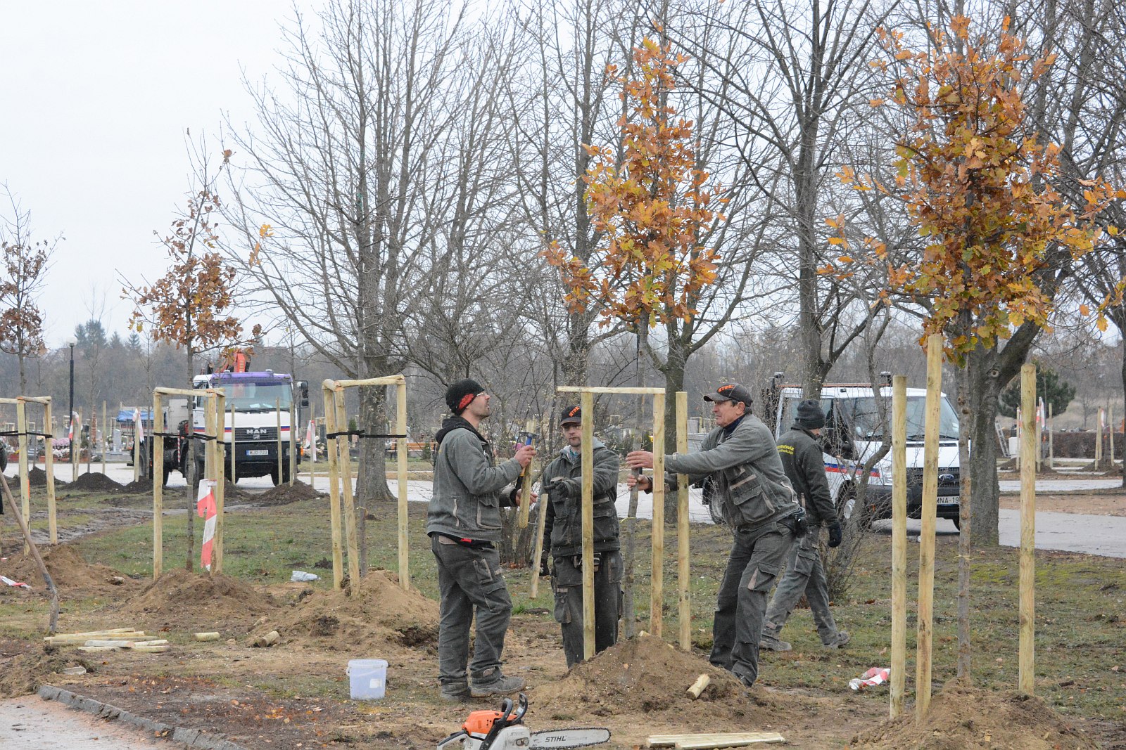 Több mint 200 fát ültettek a héten a Béla úti temetőben