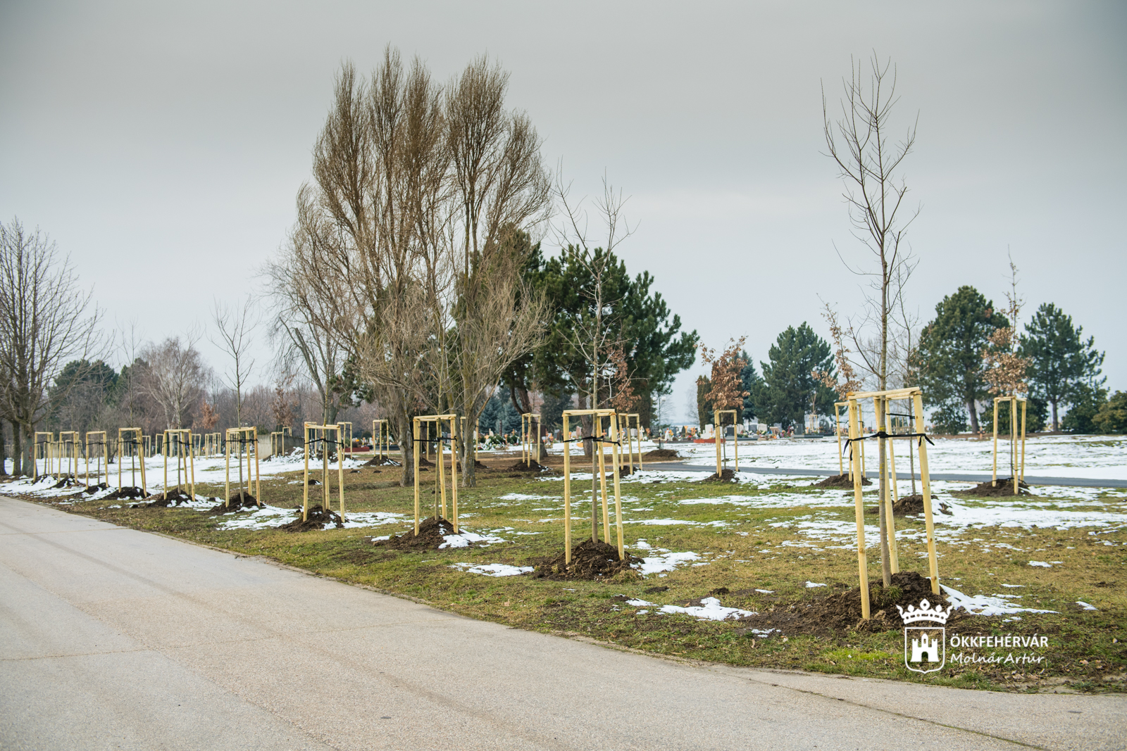 Elkészült a temető bővítése a Béla úton - 202 fát is ültettek a temetőben