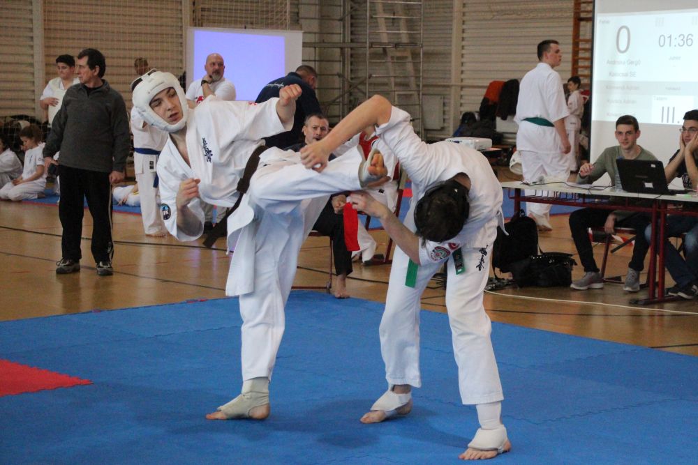 Karate: öt fehérvári aranyérem Várpalotáról