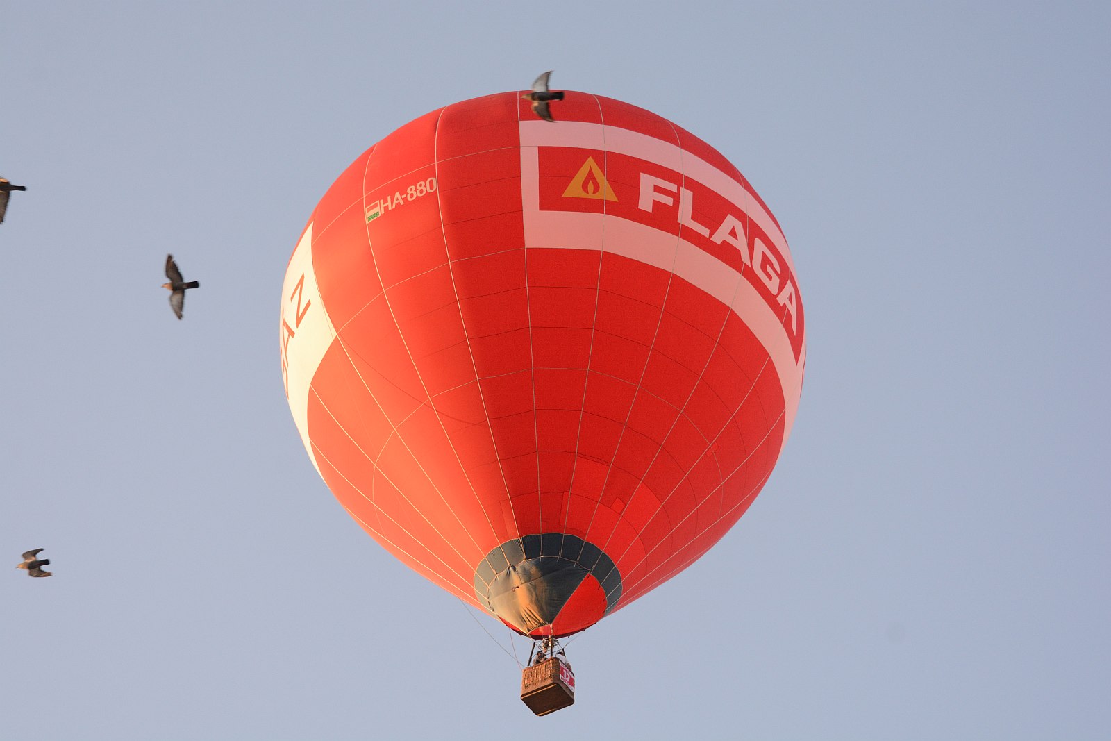 Vasárnapig tart a XXV. Velencei-tavi Nemzetközi Hőlégballon Karnevál