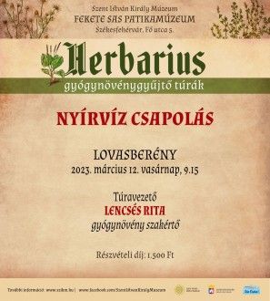Vasárnap Lovasberényben kezdődnek az idei Herbarius-túrák