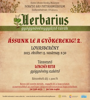 Ássunk le a gyökerekig! – Lovasberényben folytatnak a Herbarius túrák vasárnap