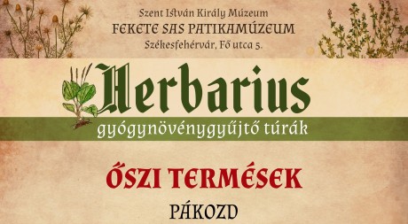 Őszi termések gyűjtésével folytatódnak szombaton a Herbarius túrák
