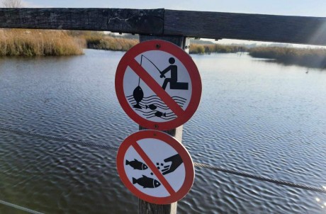 Tilos és illegális a horgászat a Sóstó Természetvédelmi Területen