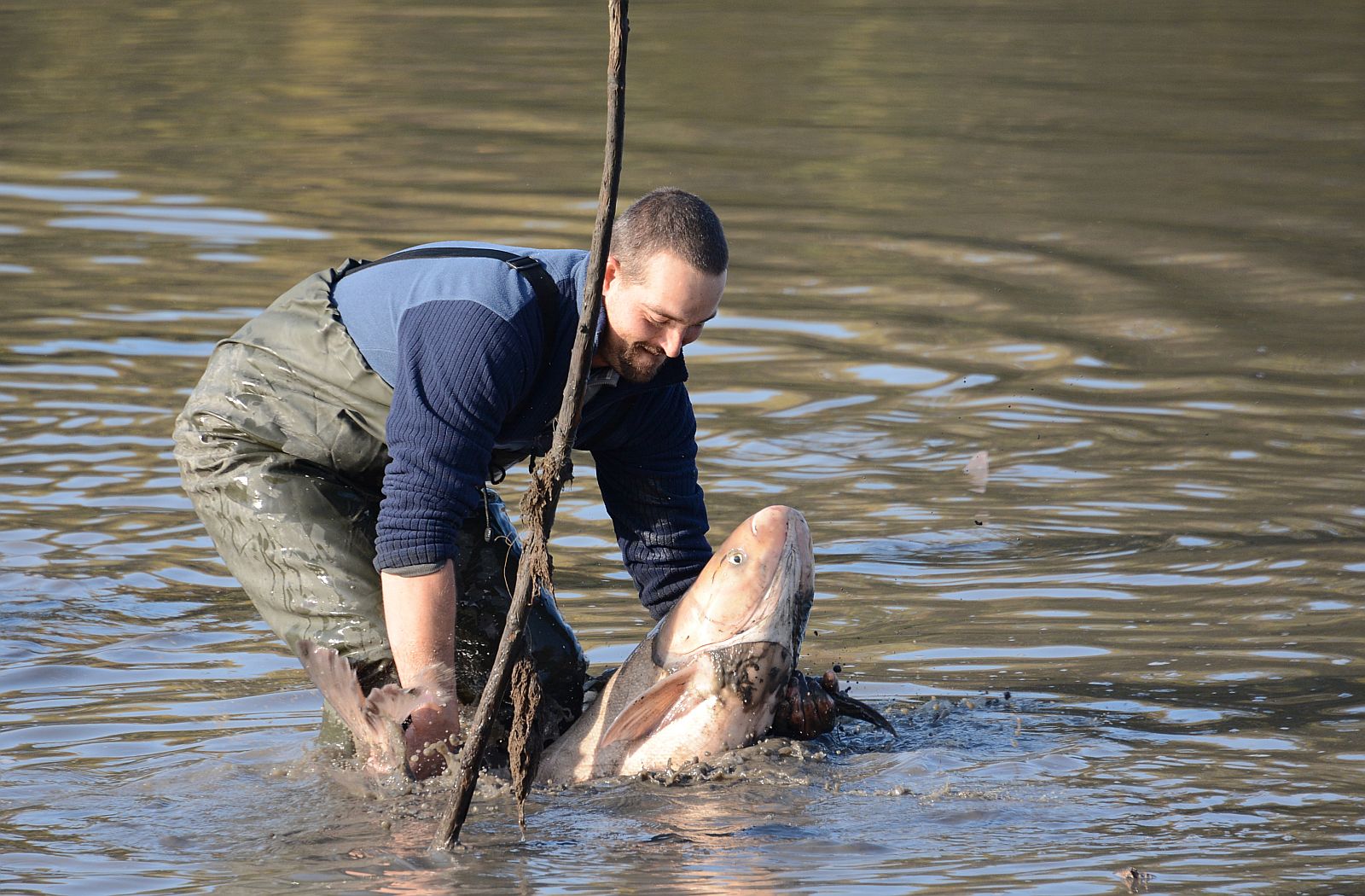 Lehalászás a Csónakázó-tavon