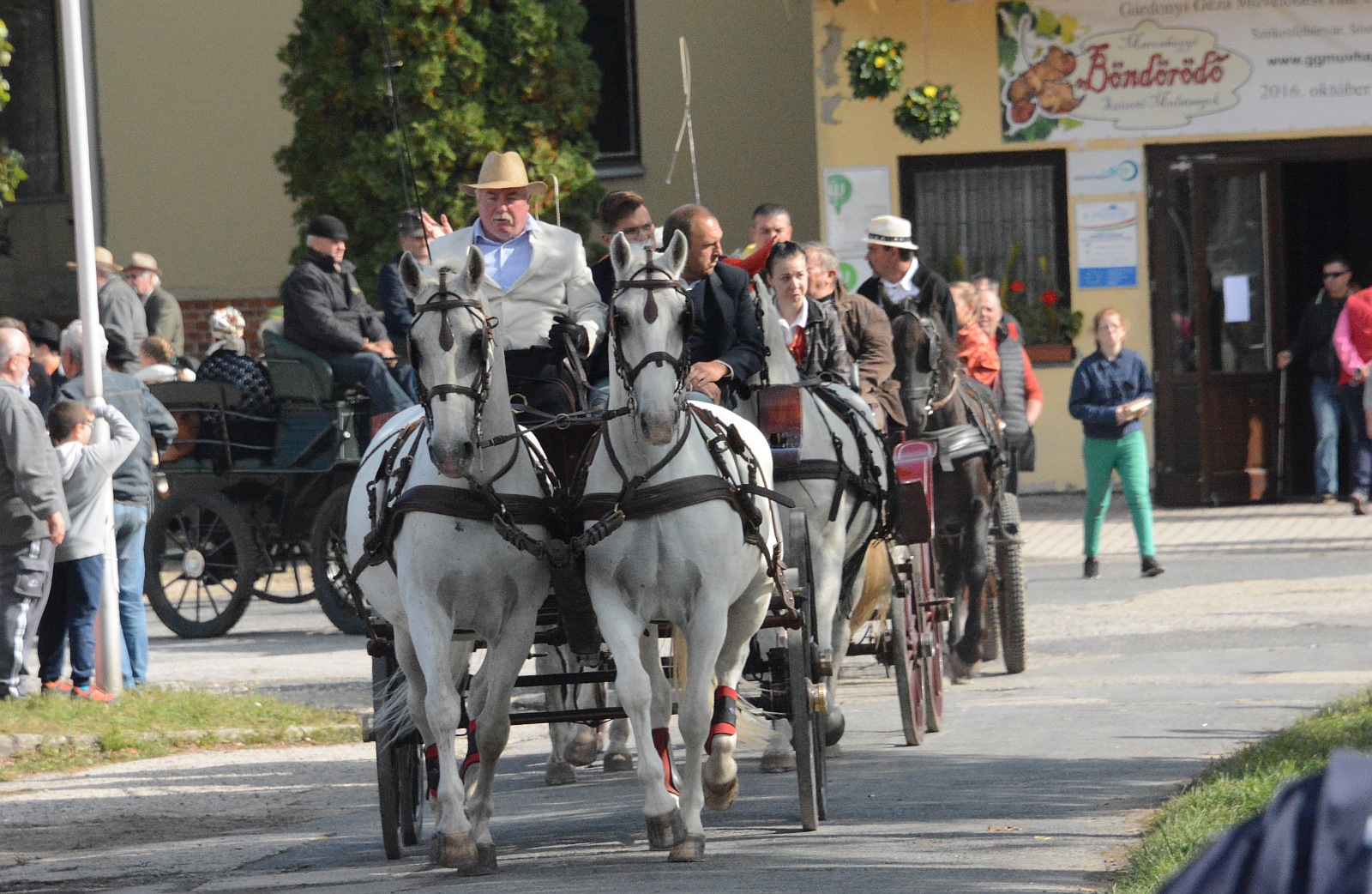 Maroshegyi Böndörödő 2016.