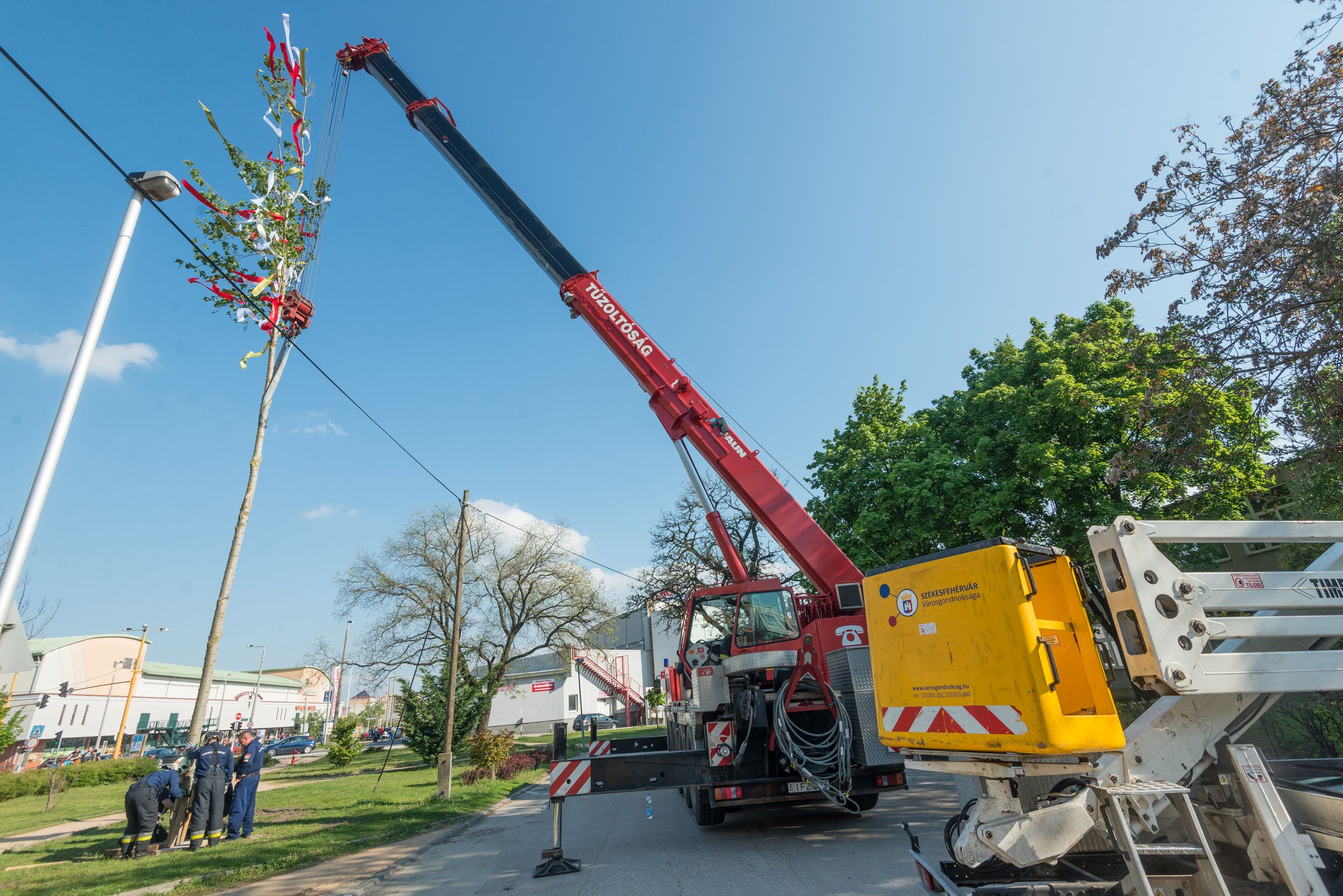 Májusfát állítottak a Vasvári Általános Iskola előtt