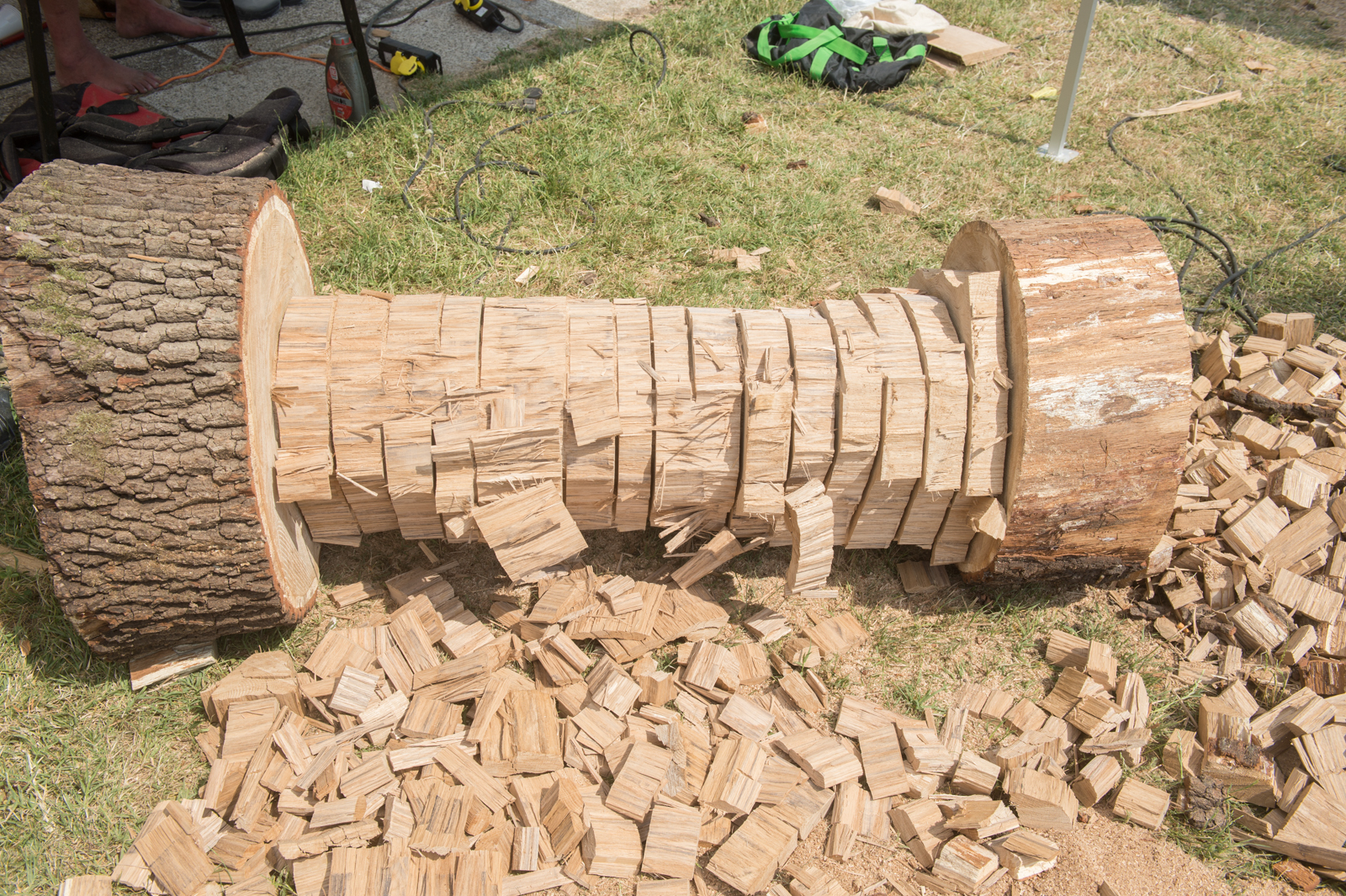 RönkFeszt a Csónakázó-tó partján