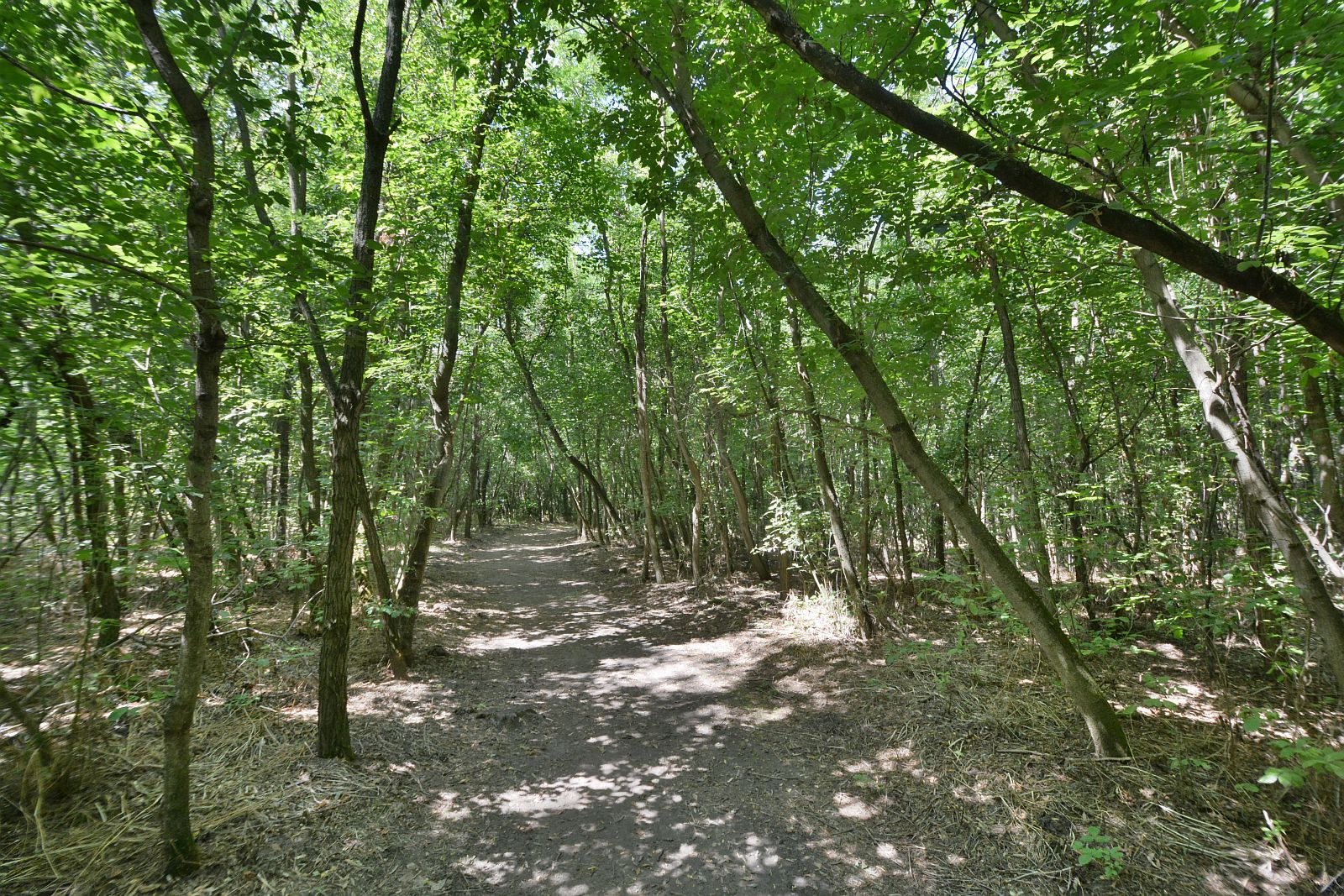 Munkaterület átadás Sóstó Természetvédelmi Területen