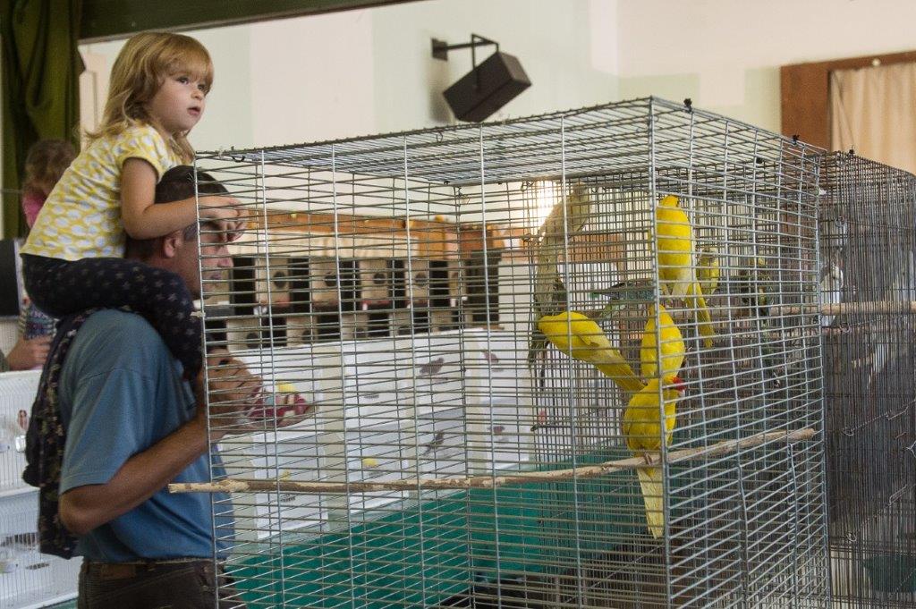 Színpompás madarak a VOKE Művelődési Házban