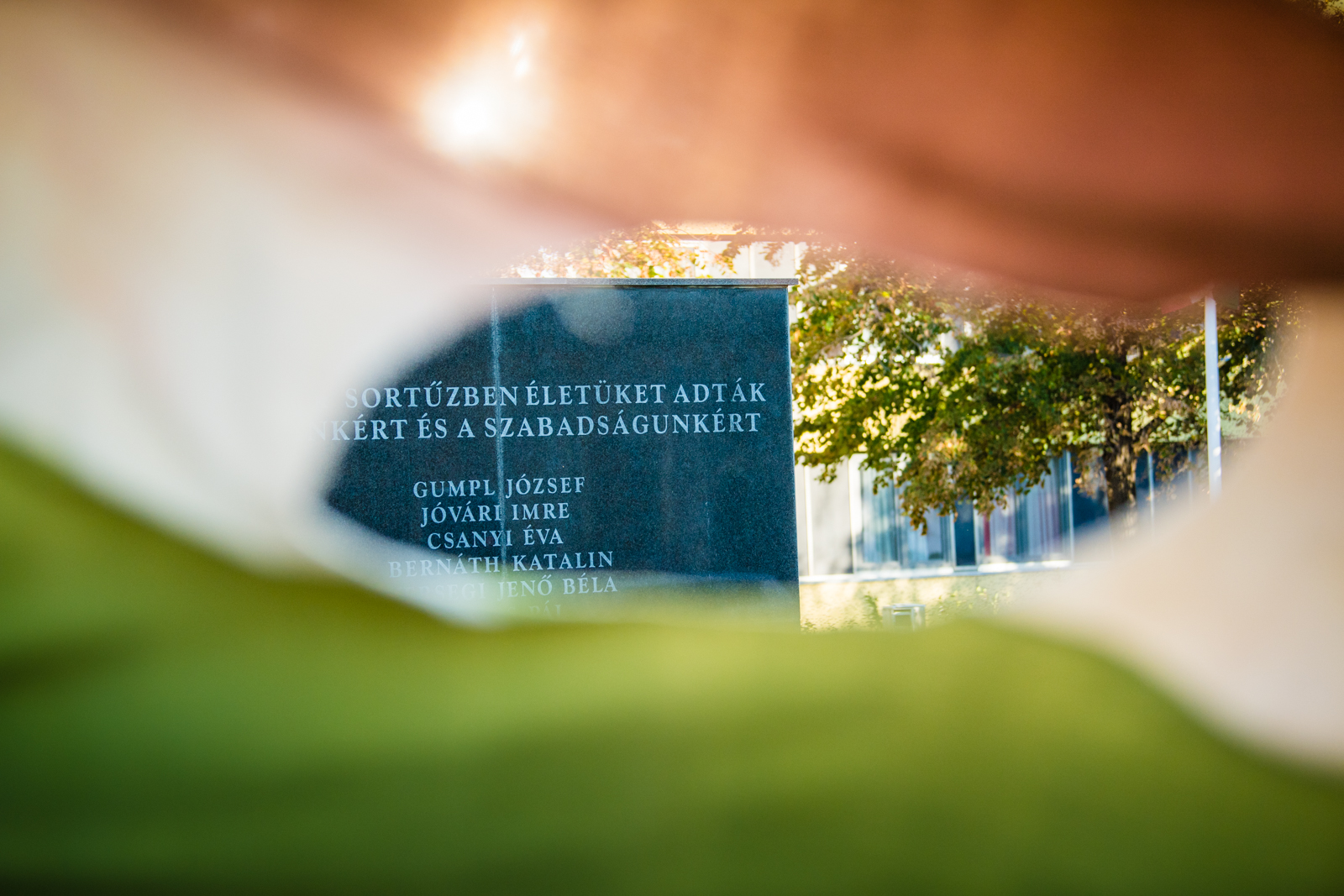 Felsőoktatási intézmények ünnepi megemlékezése az 56-os emlékműnél