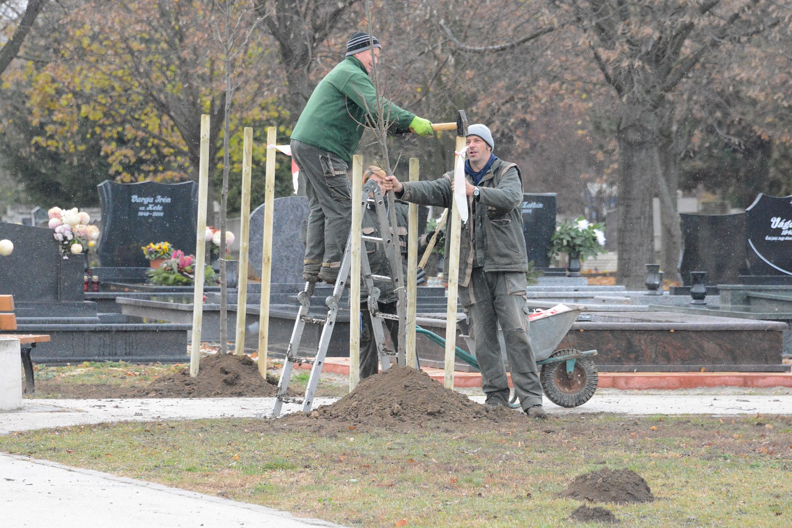 Több mint 200 fát ültettek Béla úton