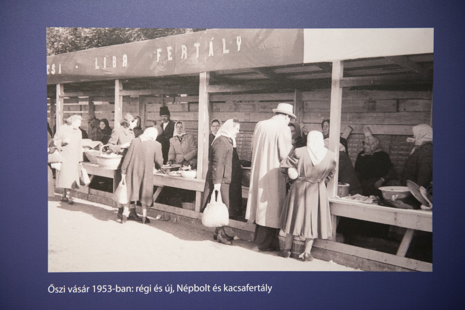 VárosKép - Székesfehérvár a XX. században