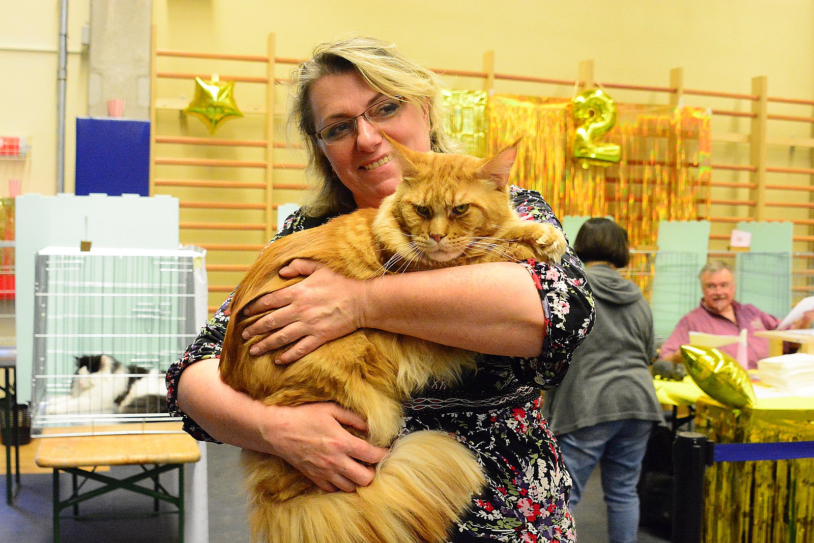 Nemzetközi macskakiállítás az MKOSZ Sportcsarnokban Fehérváron