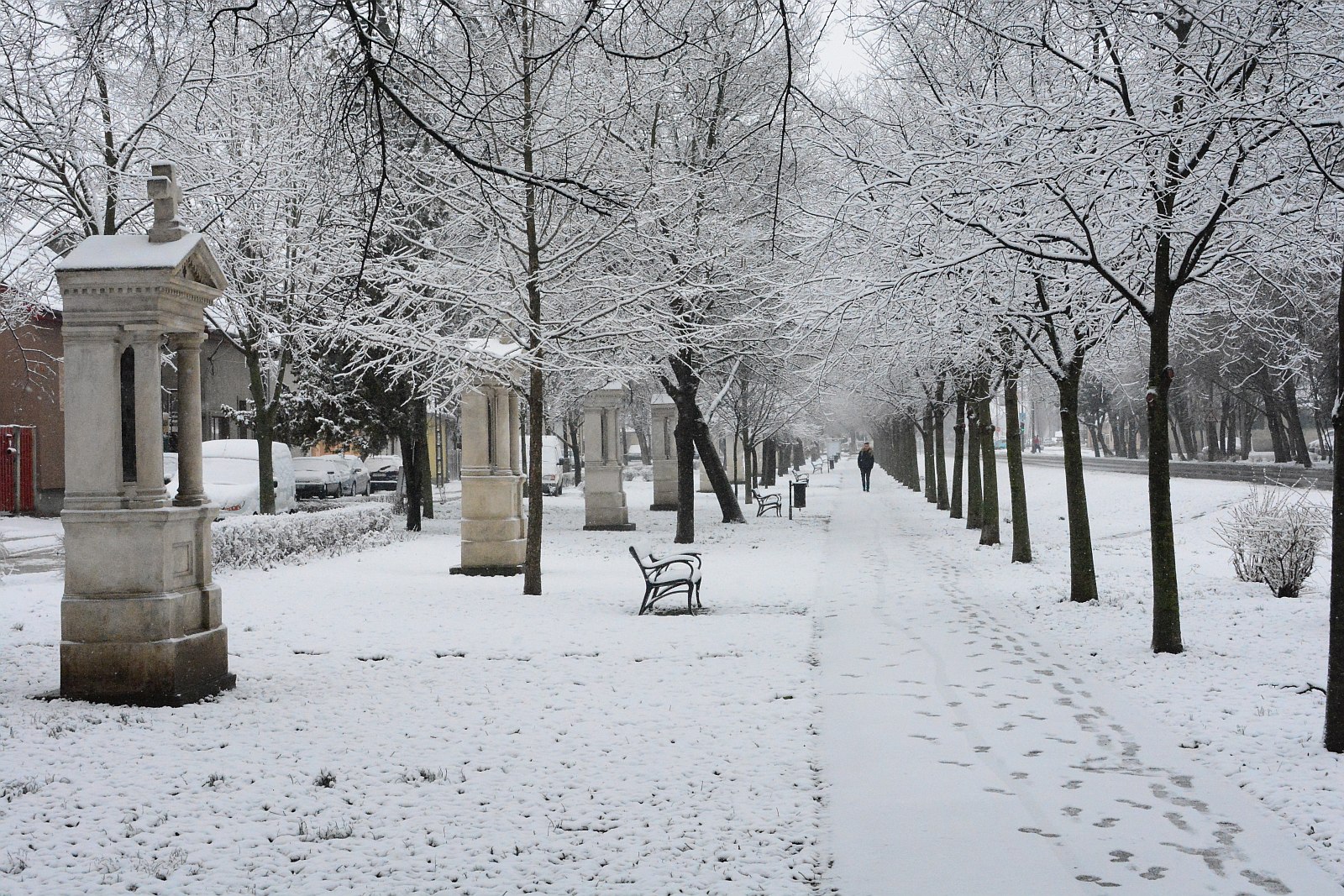 Sanyikám, nem erről volt szó! - havas fehérvári körkép