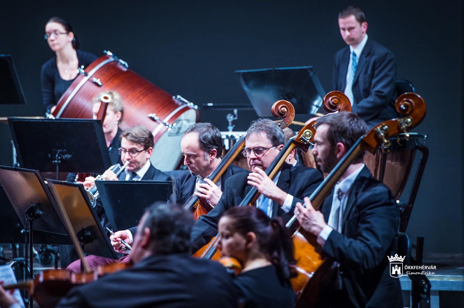 Zenei stand up Bősze Ádámmal és az Alba Regia Szimfonikus Zenekarral
