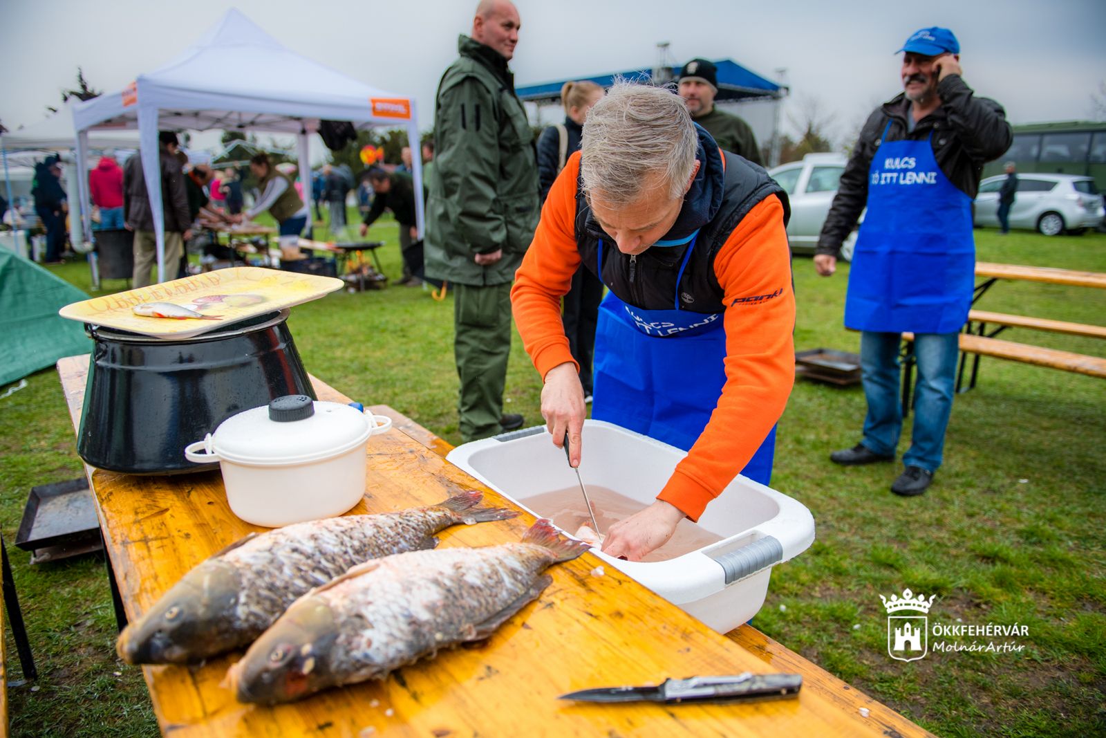 Halünnep hatodszor a Palotavárosi tavaknál