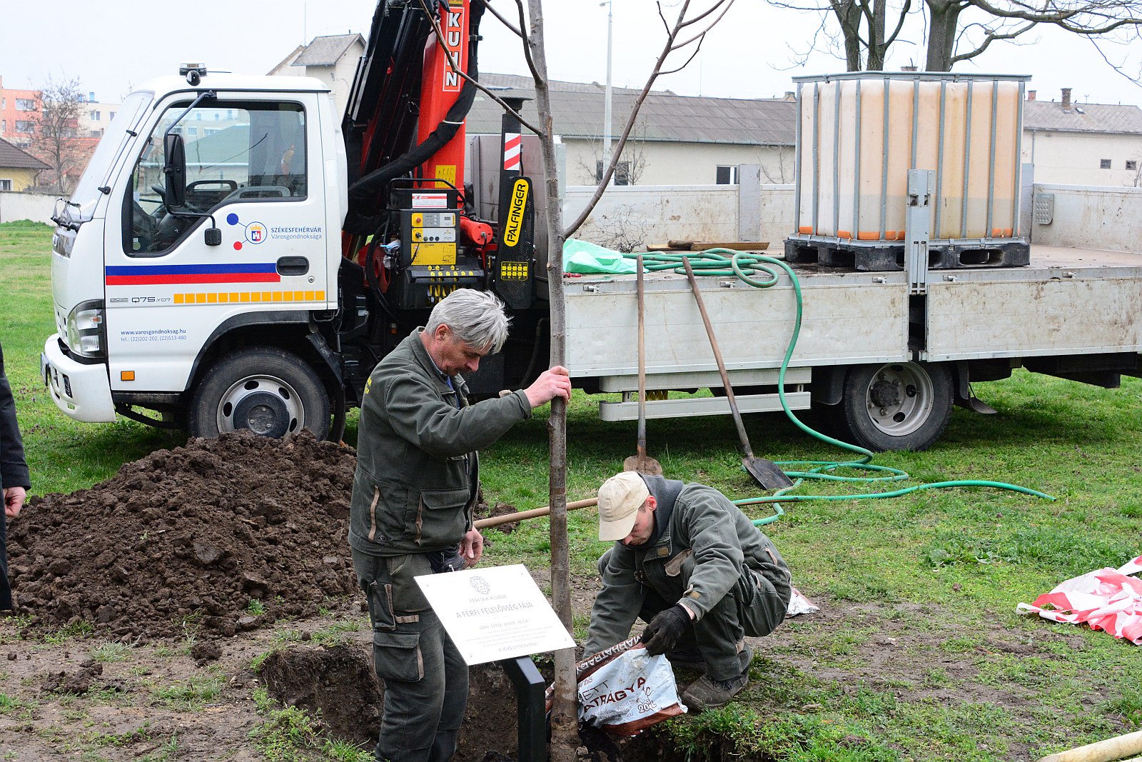 Így ültették el Székesfehérváron a Férfi Felelősség Fáját