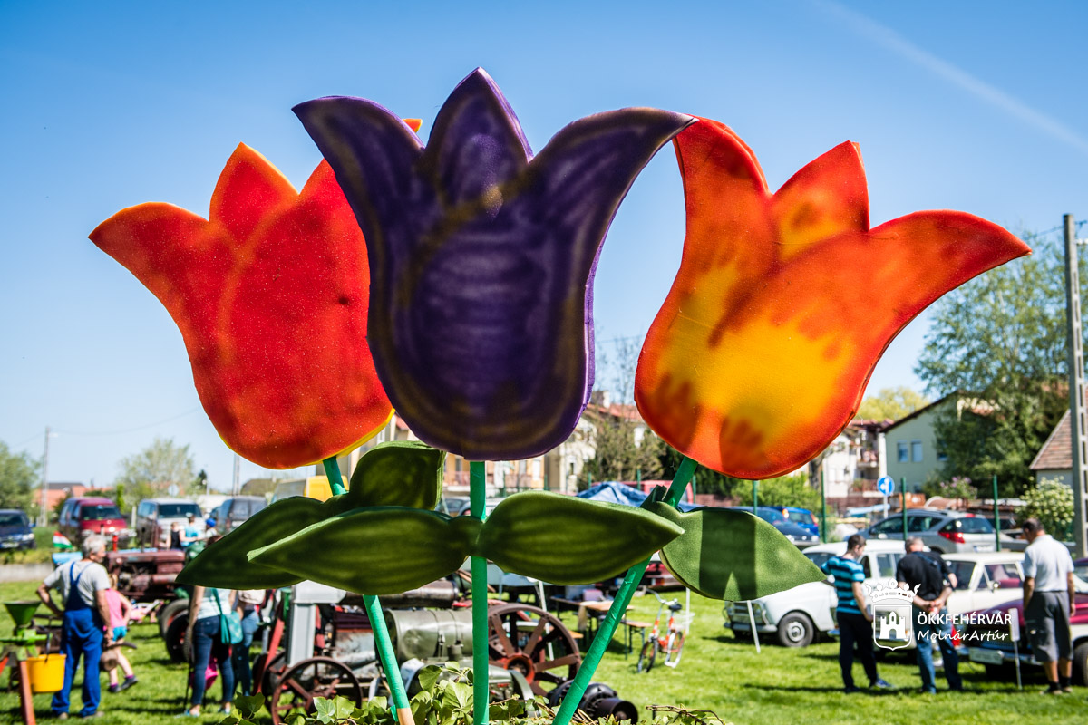 KERT-EXPO Kertészeti és Mezőgazdasági Kiállítás és Vásár Székesfehérváron