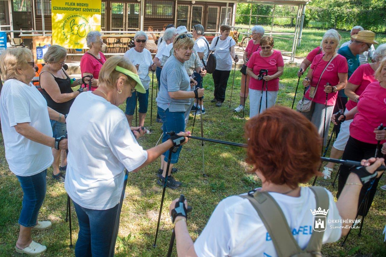 Botra fel - figyelemfelhívó nordic walking séta Fehérváron