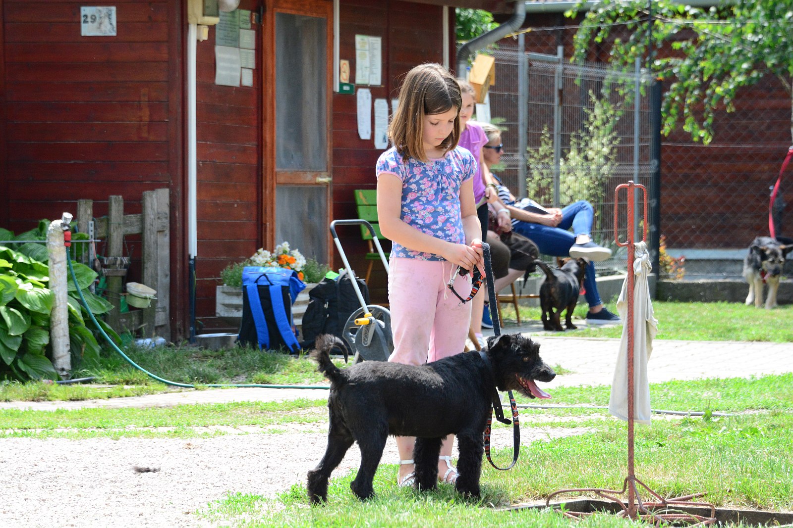 Állati nyílt nap a HEROSZ Fehérvári Állatotthonában