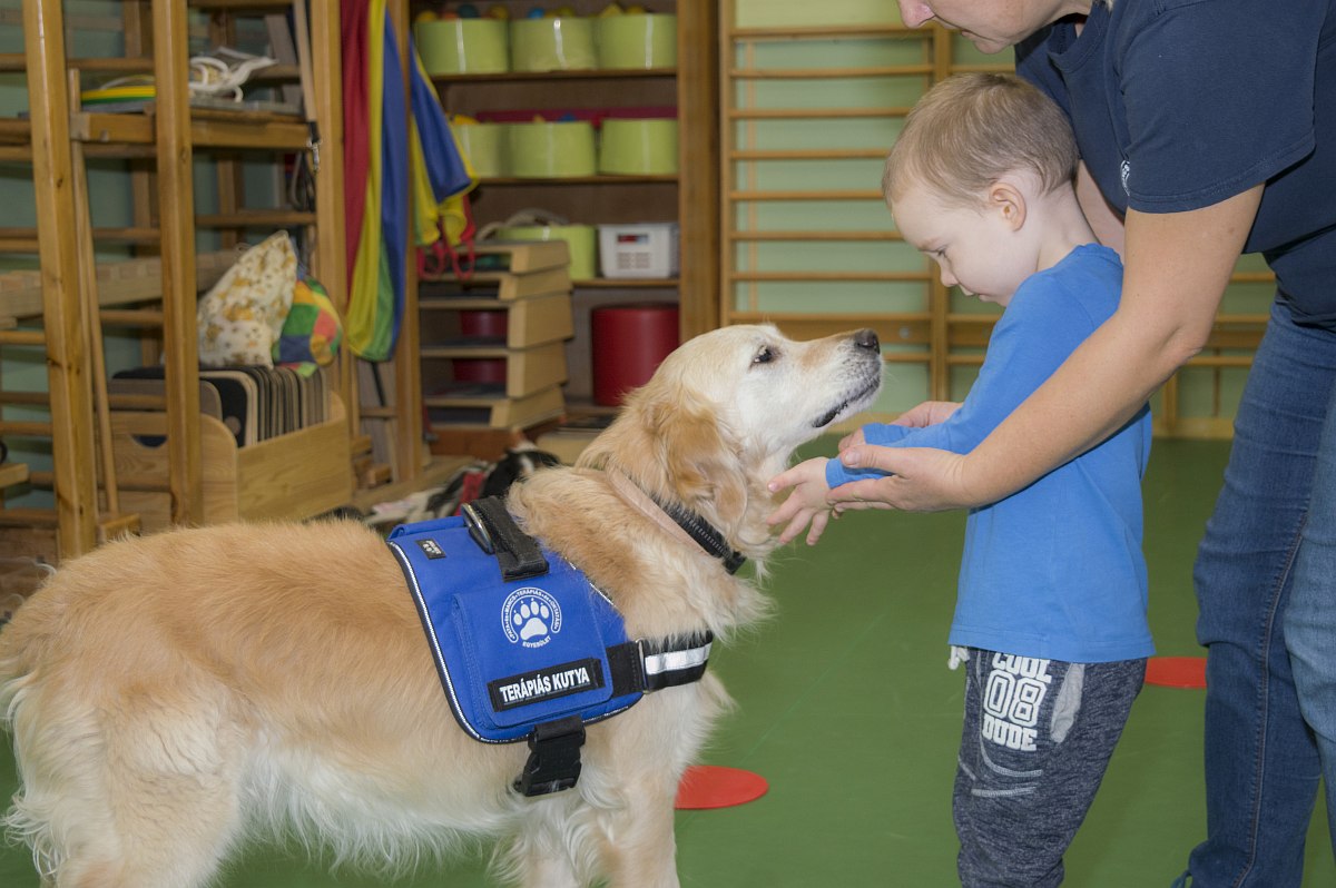 Terápiás kutyák a gyerekekért