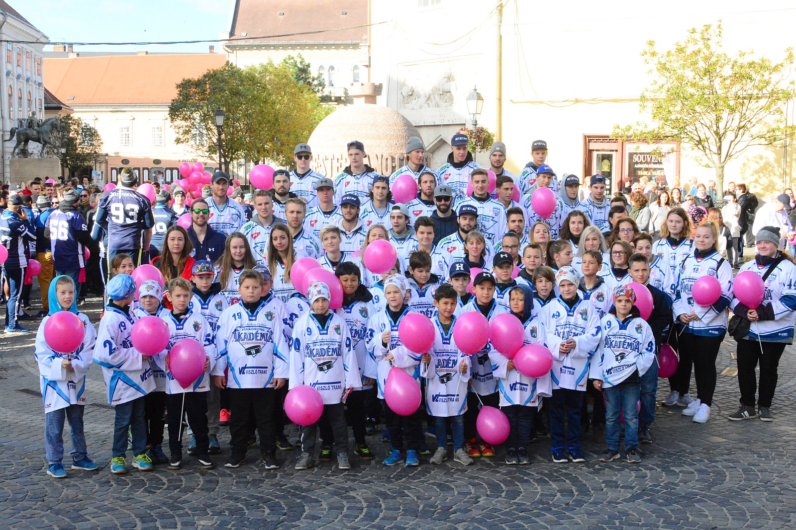 Közös séta a mellrák ellen Székesfehérváron