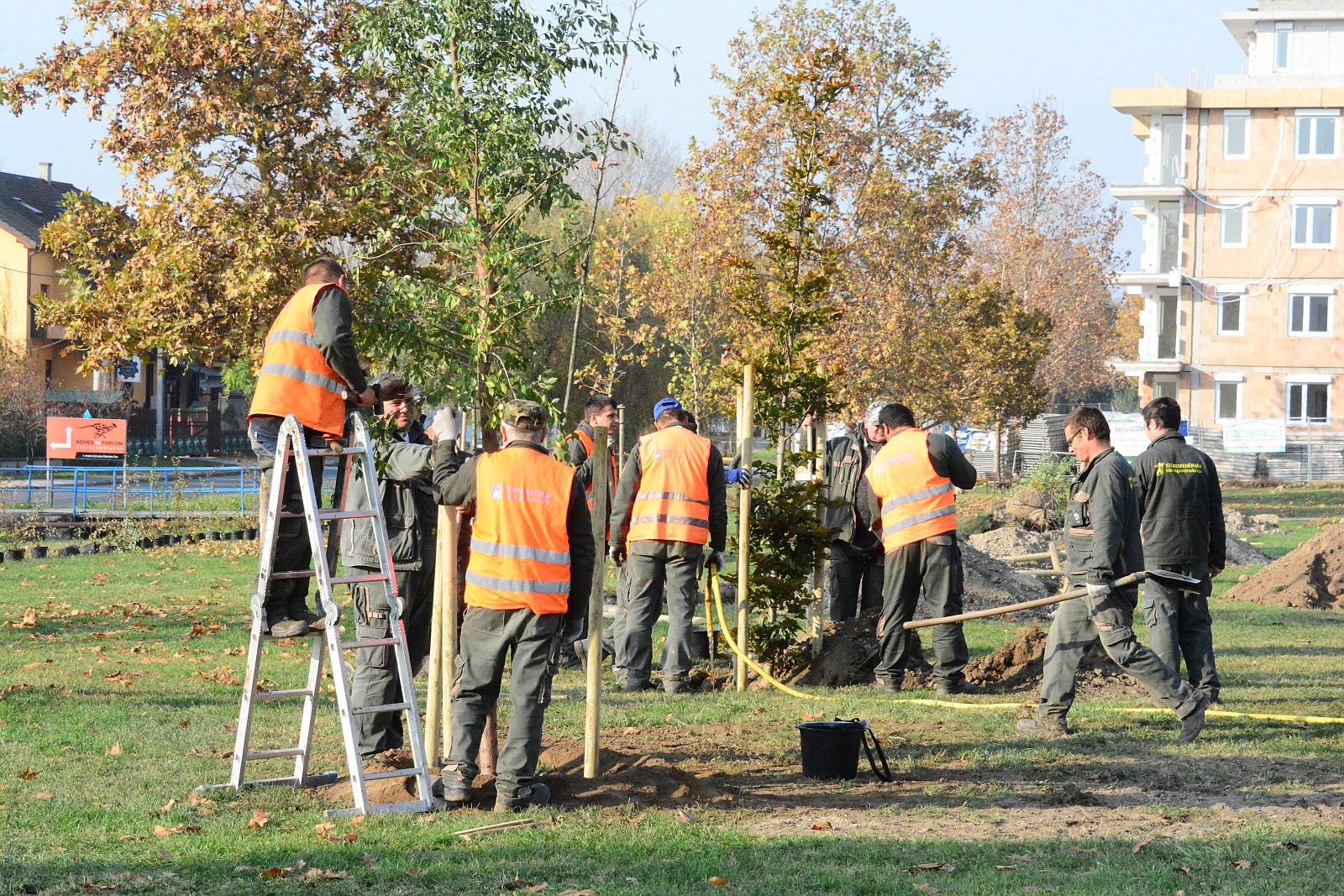 A Palotavárosban kezdődtek a fehérvári őszi fatelepítések