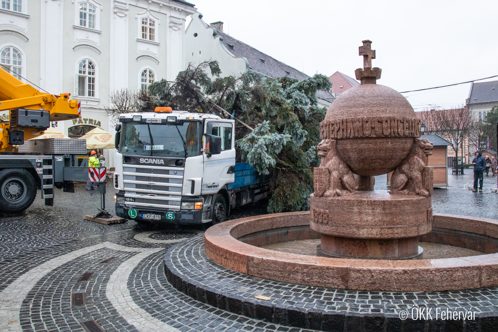 Így érkezett idén a Városház térre Fehérvár karácsonyfája