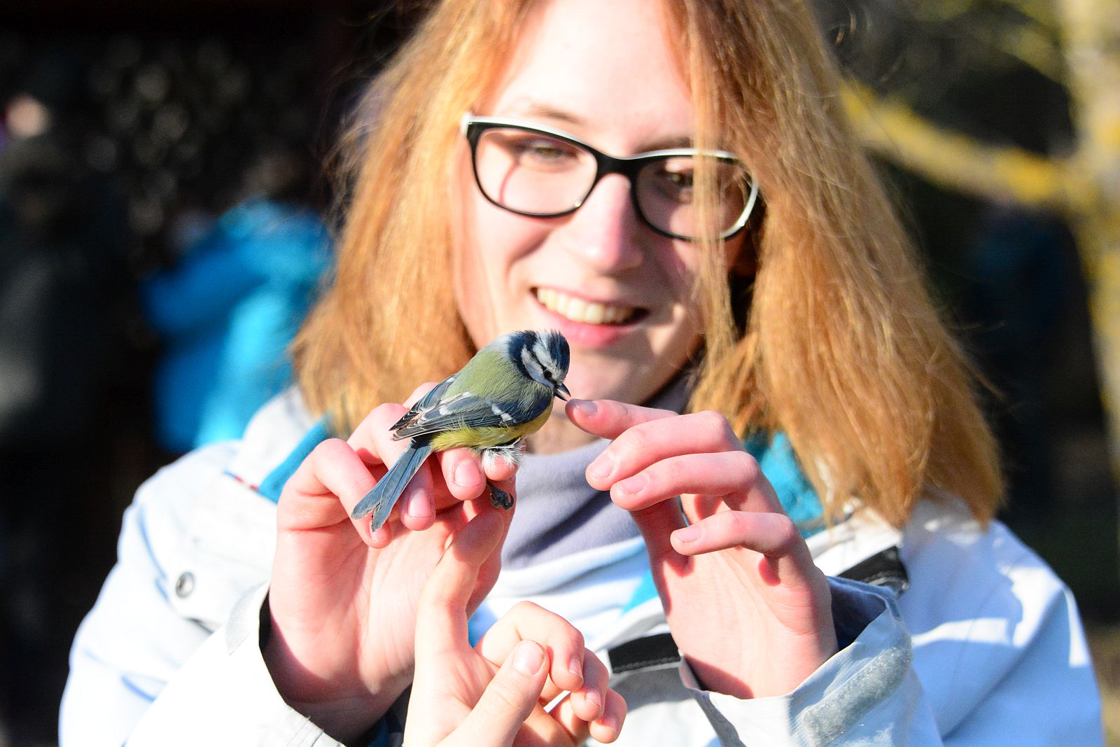 Madárgyűrűzés a Sóstó Természetvédelmi Területen