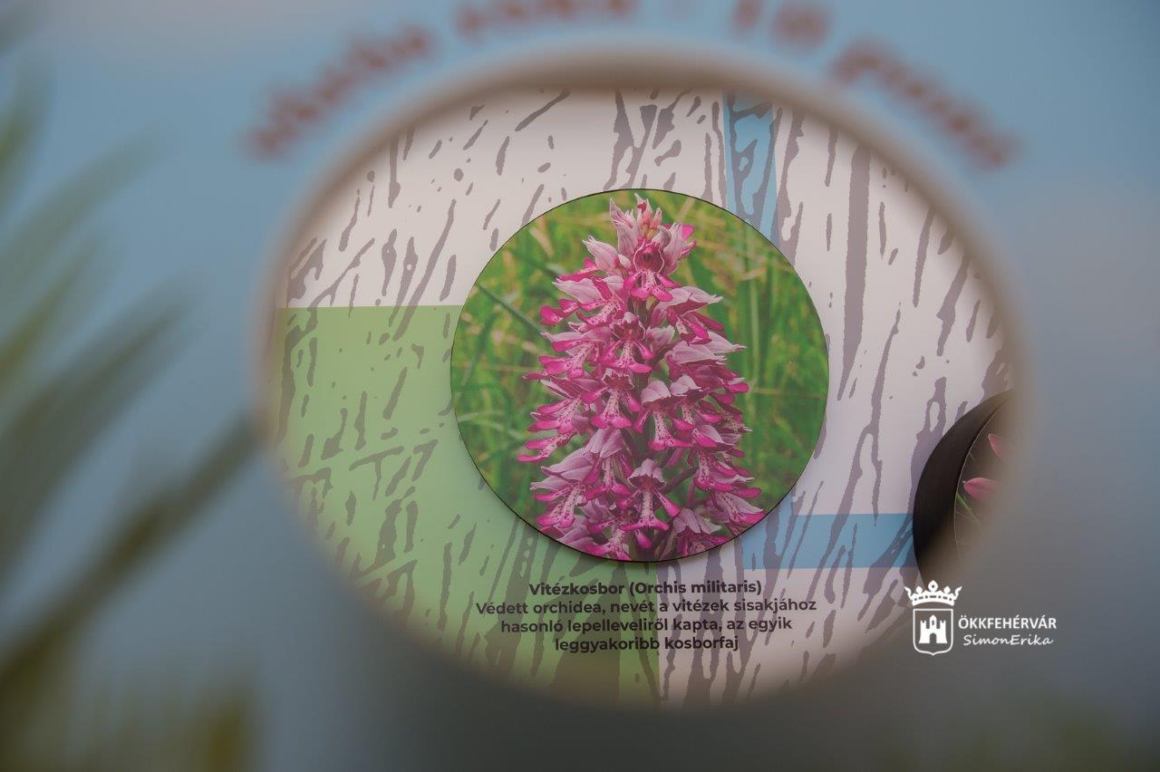 Jövő héten nyit a Sóstó látogatóközpont