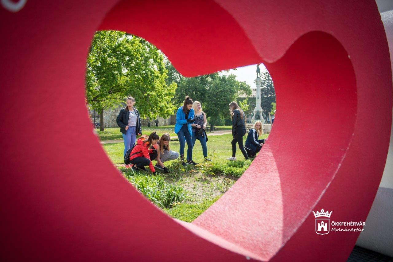 Virágültetés az Esélyegyenlőség kertjében