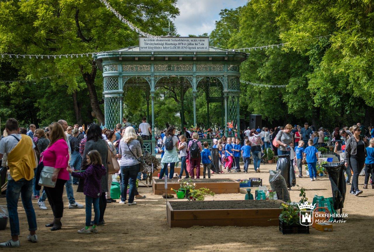 Nézze meg képeken a fehérvári mesés kiskerteket!