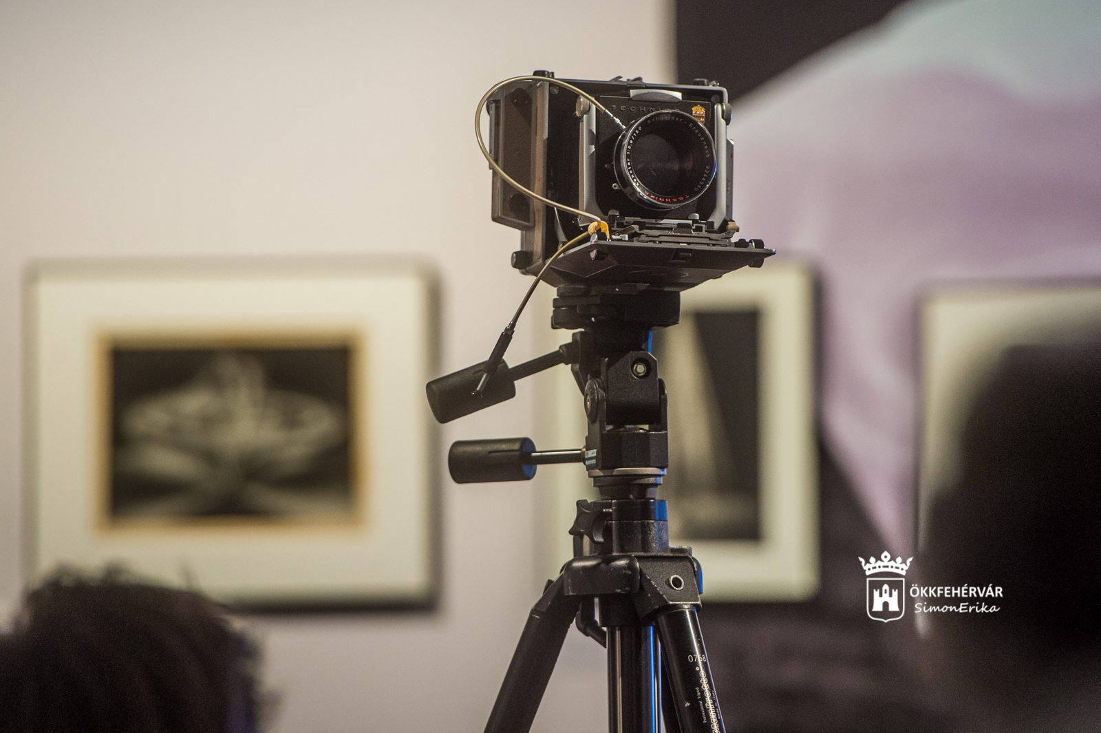 A Magyar Fotográfia Napja a Csók Képtárban