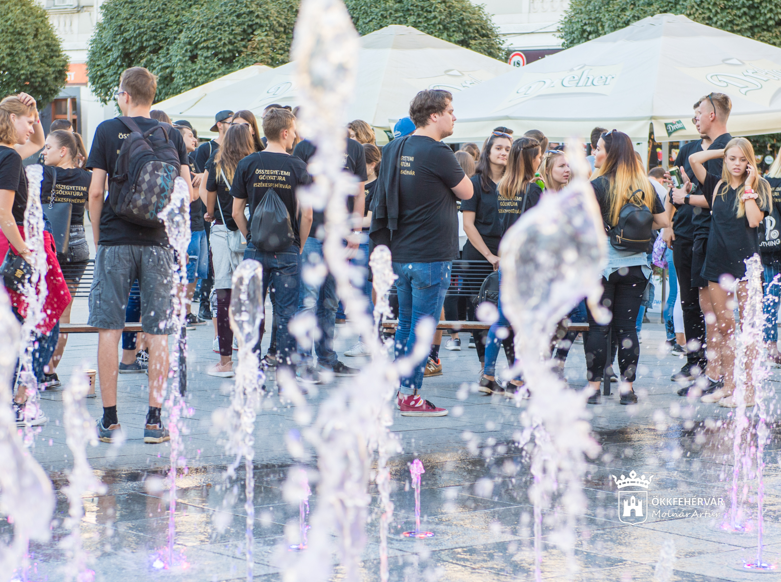 Összegyetemi Gólyatúra Székesfehérváron