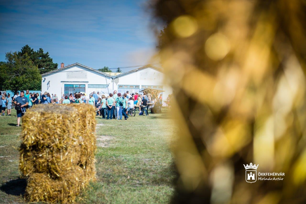 Így kezdődött a Böndörödő Maroshegyen