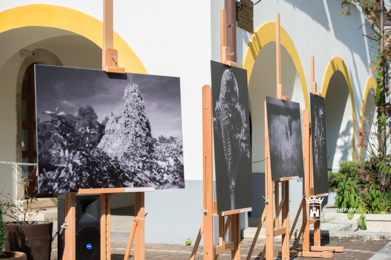 Utcza-kép - Kiss László kiállítása a Kossuth-udvarban