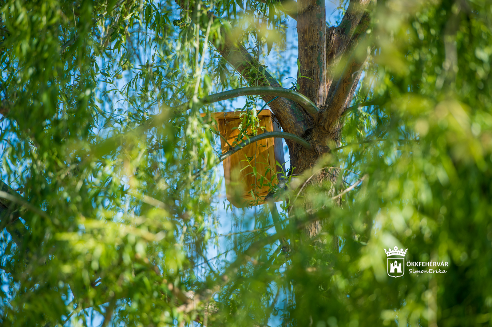 Költőládák és költőodúk kihelyezése Székesfehérváron