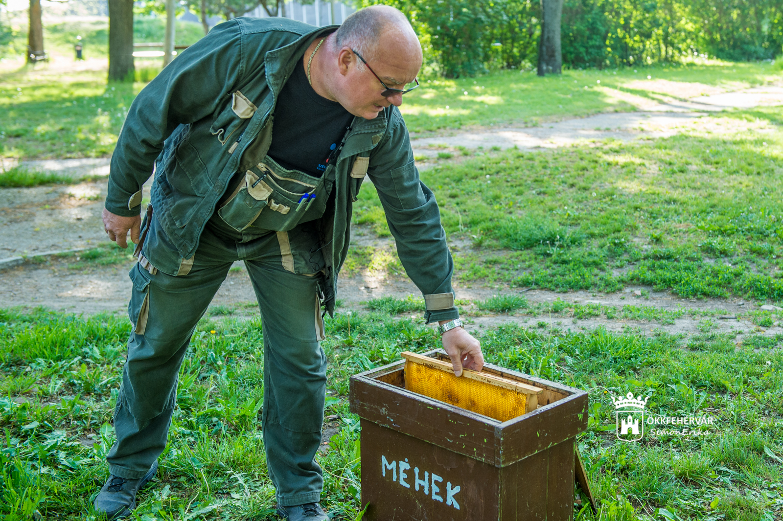 A méheket, a leghasznosabb rovarokat ünnepeltük
