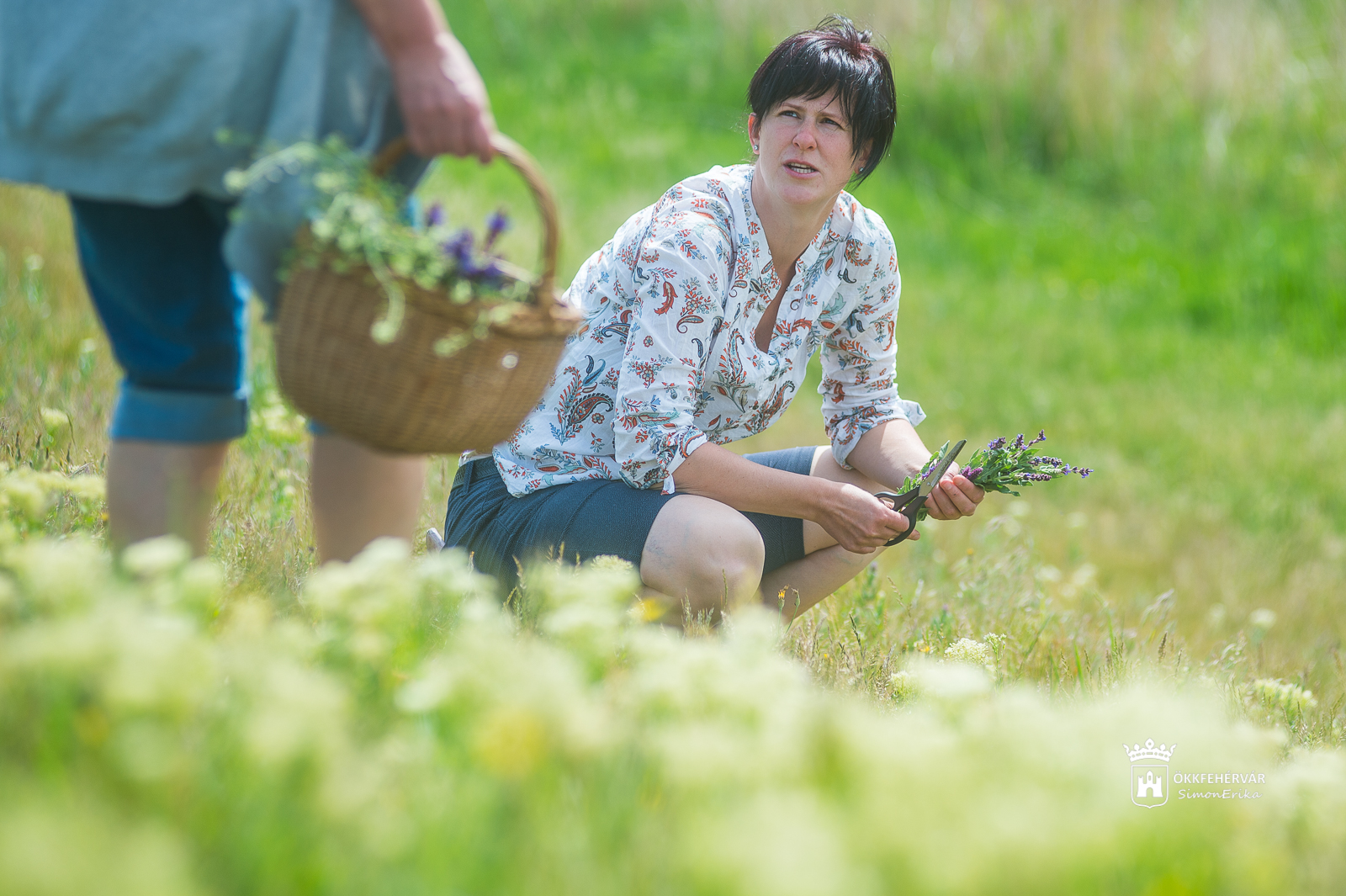 Herbarius-gyógynövénytúra a pátkai víztározónál Lencsés Ritával