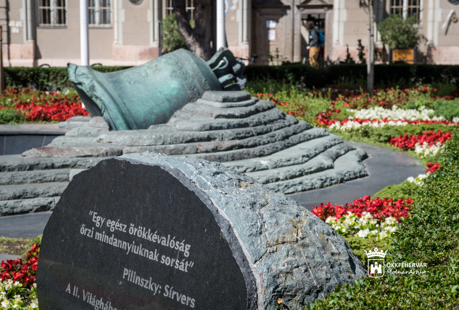 Egynyári virágpázsit a belvárosi harangnál