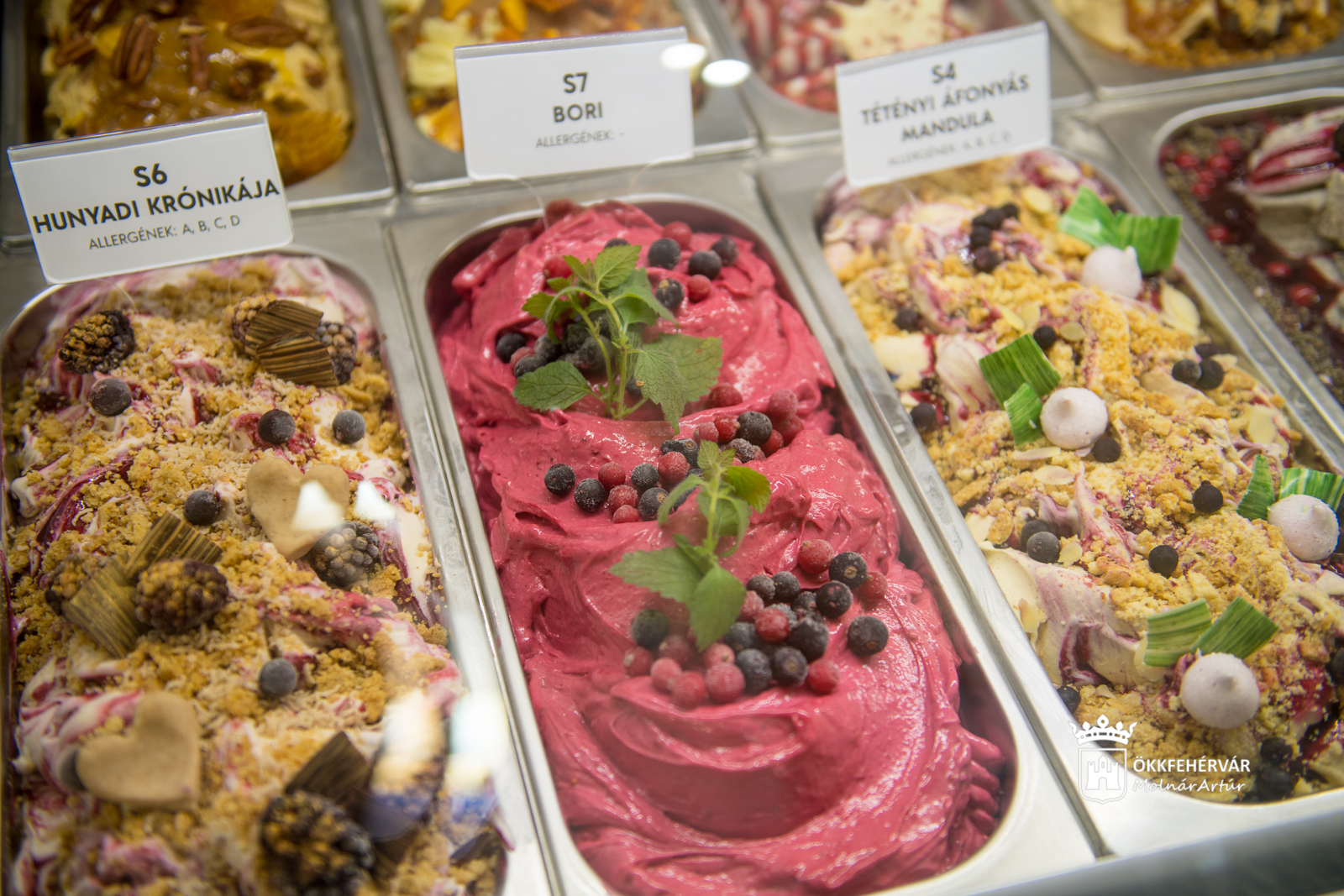 Az Év Fagylaltja verseny regionális elődöntője Fehérváron