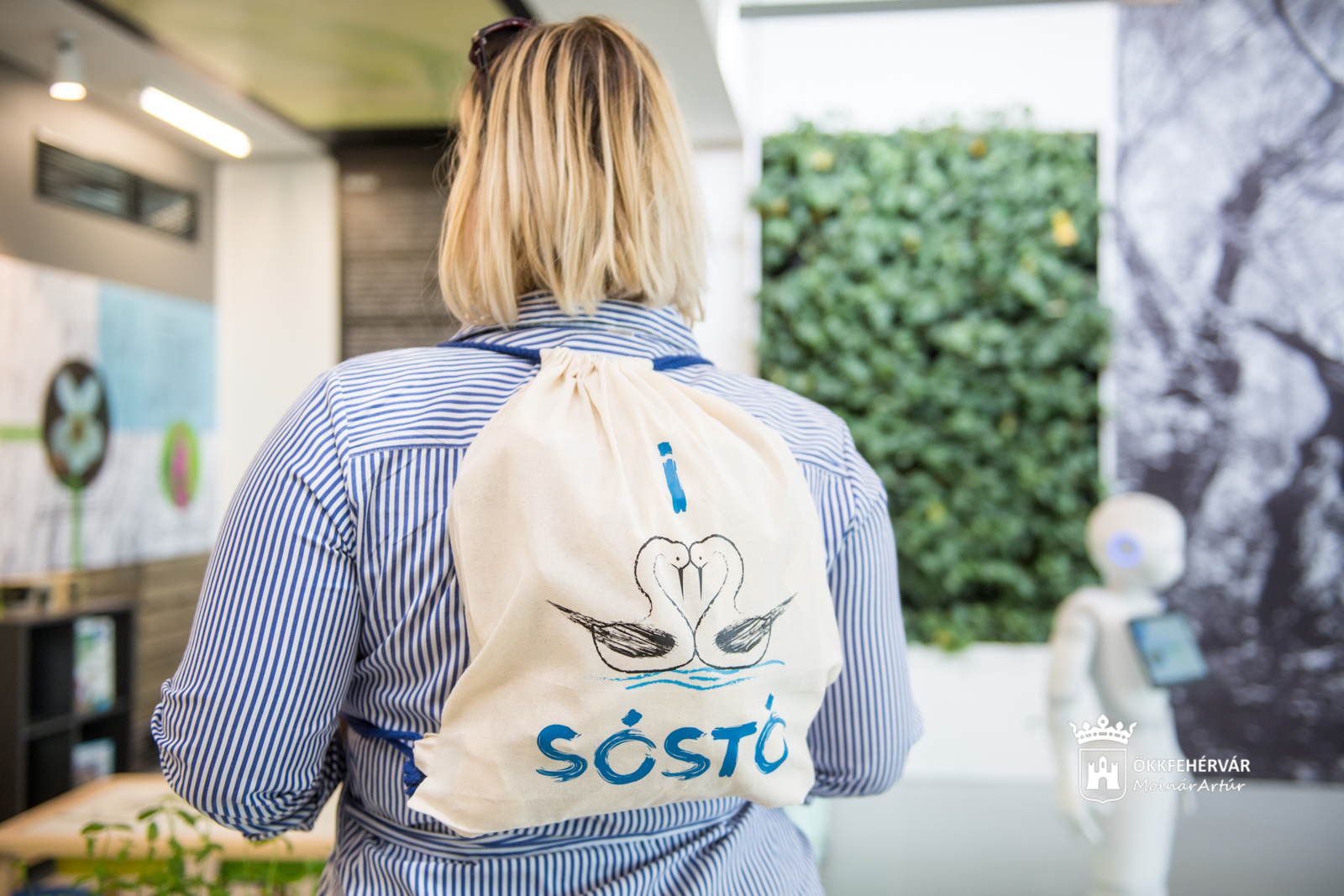 Családi ökotúra, szülinapi zsúr, Kajla program a Sóstón