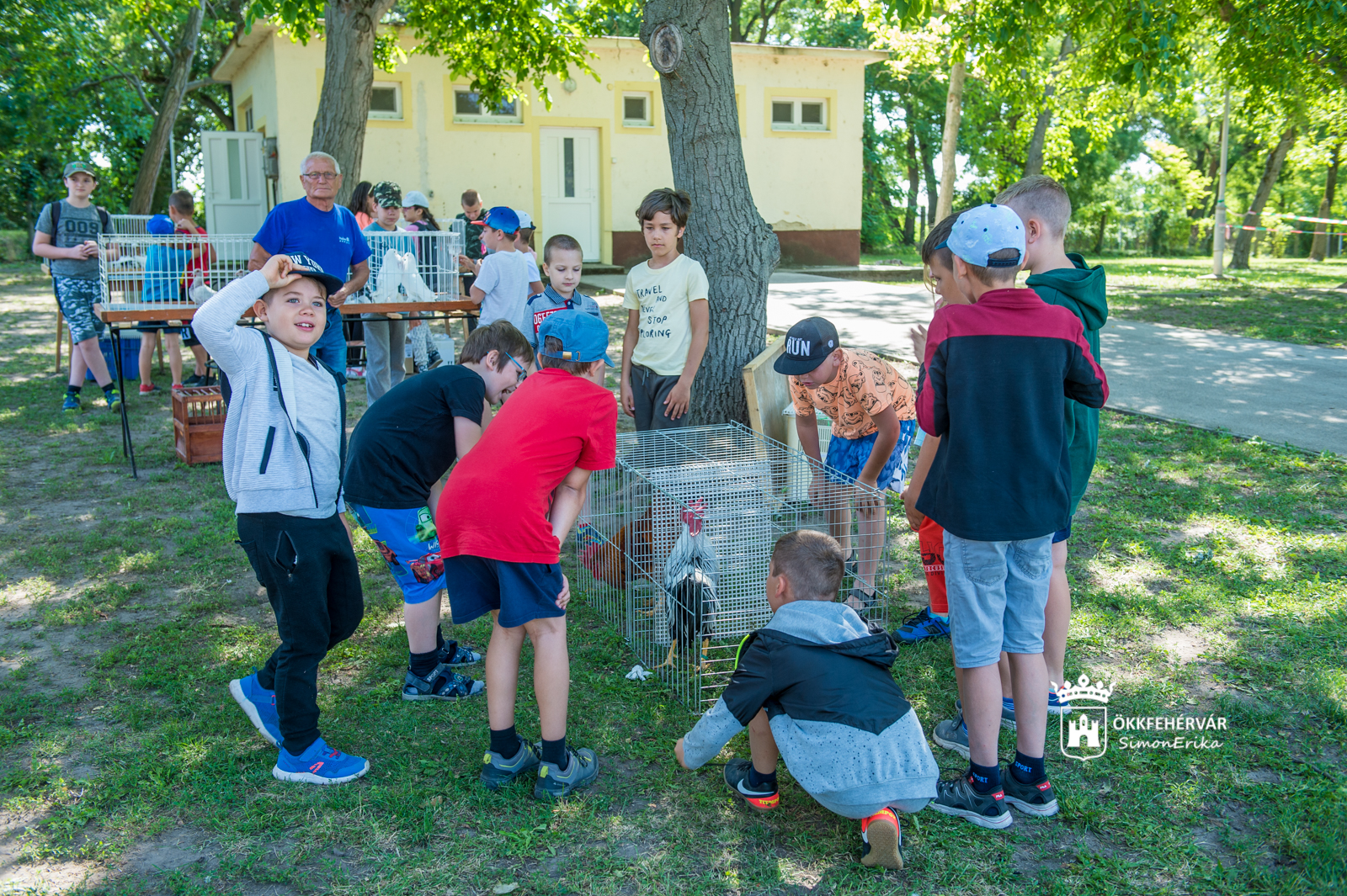 Zajlik a Napraforgó tábori élet, már a harmadik turnusban