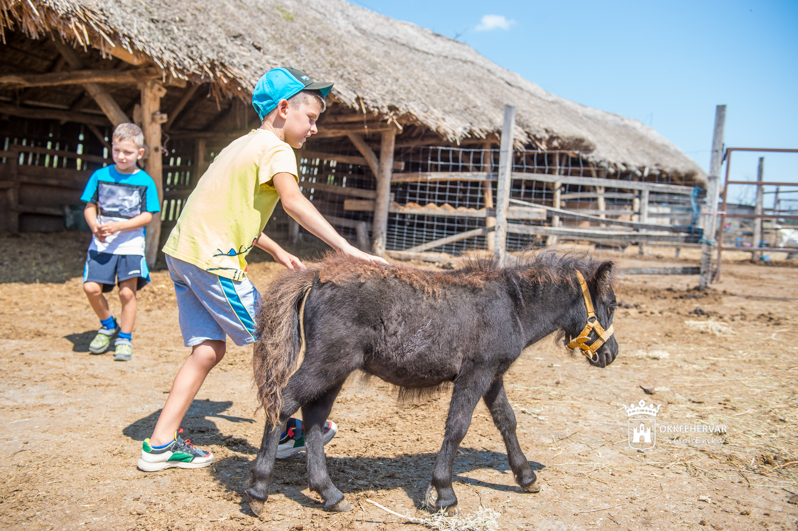 A SZÉNA Egyesület napközis kalandtábora képeken