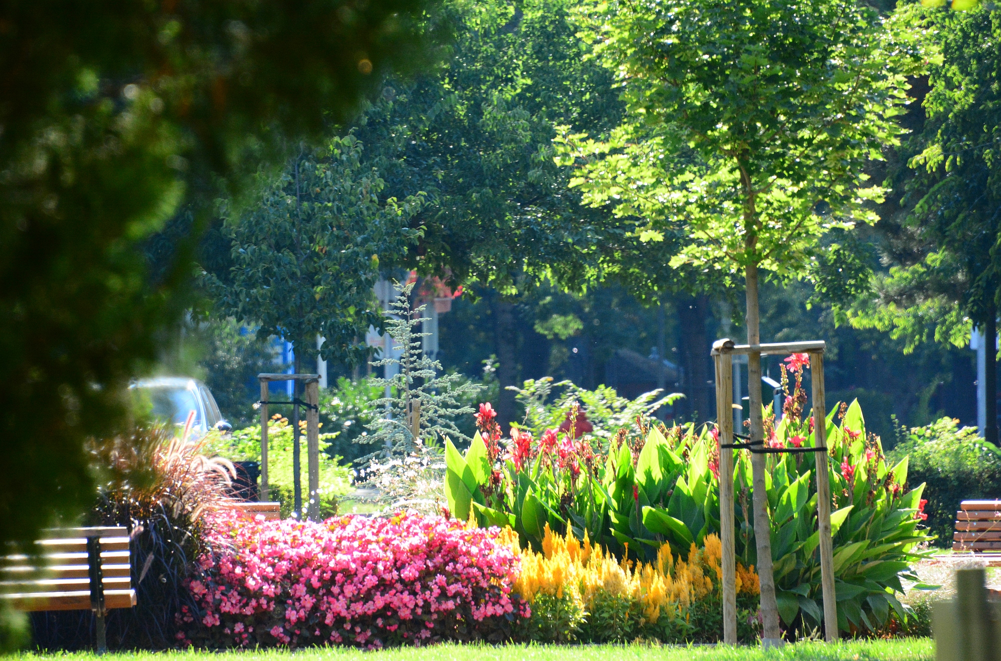 Virágok és parkok vasárnap délután a városban